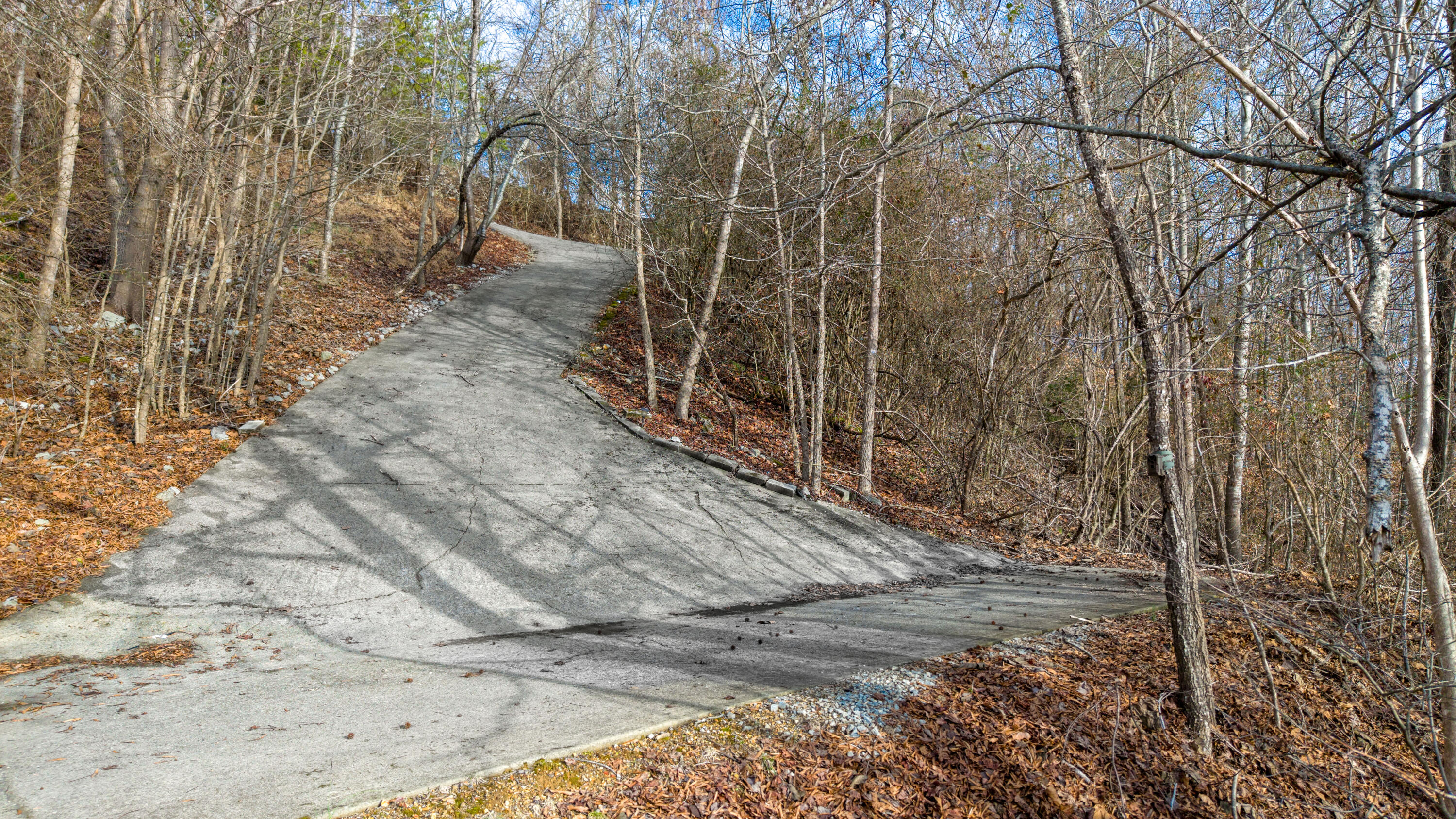 Overlook Drive, Rockwood, Tennessee image 33