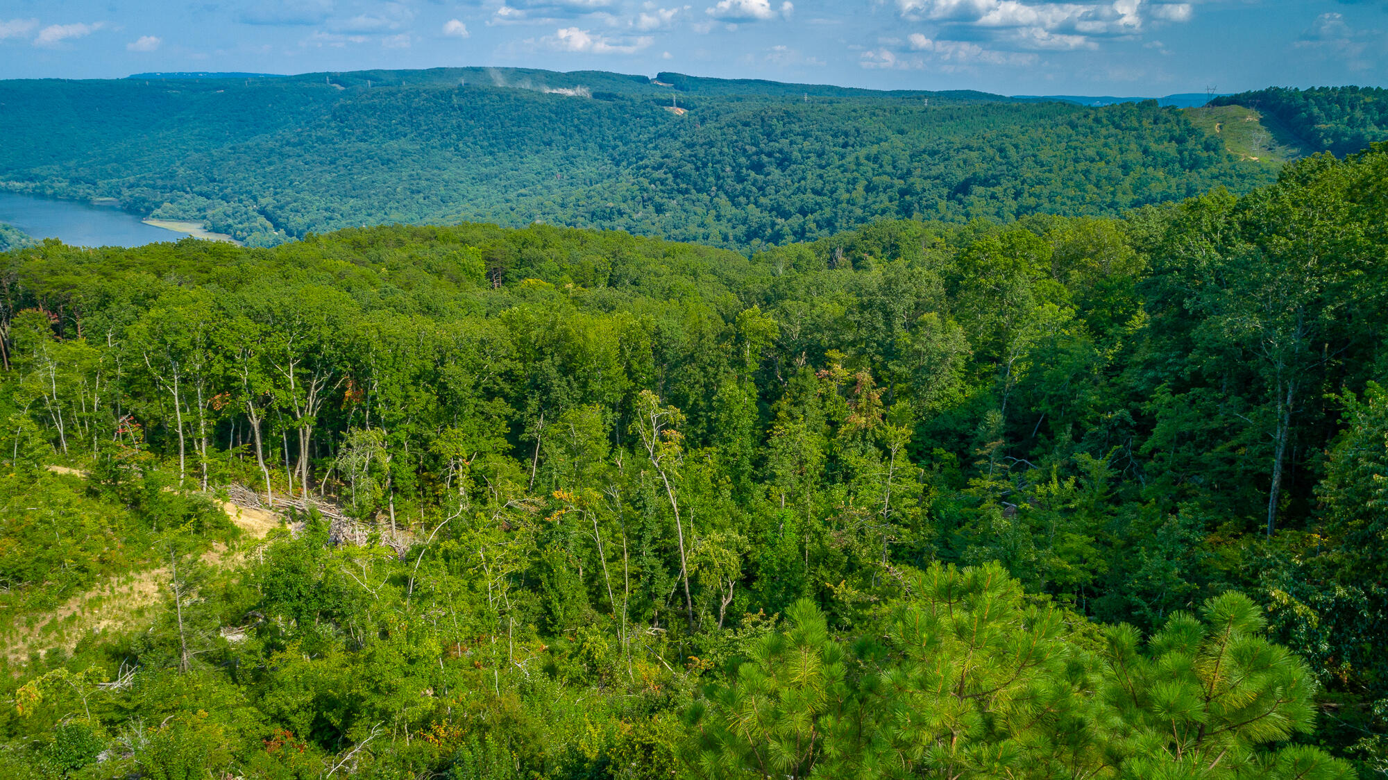 Catfish View #LOT 1300, Guild, Tennessee image 37