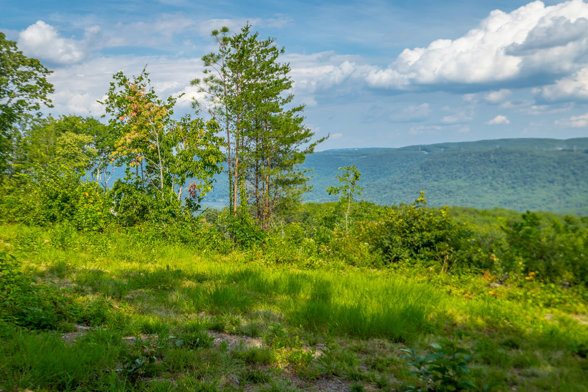 Catfish View #LOT 1300, Guild, Tennessee image 8