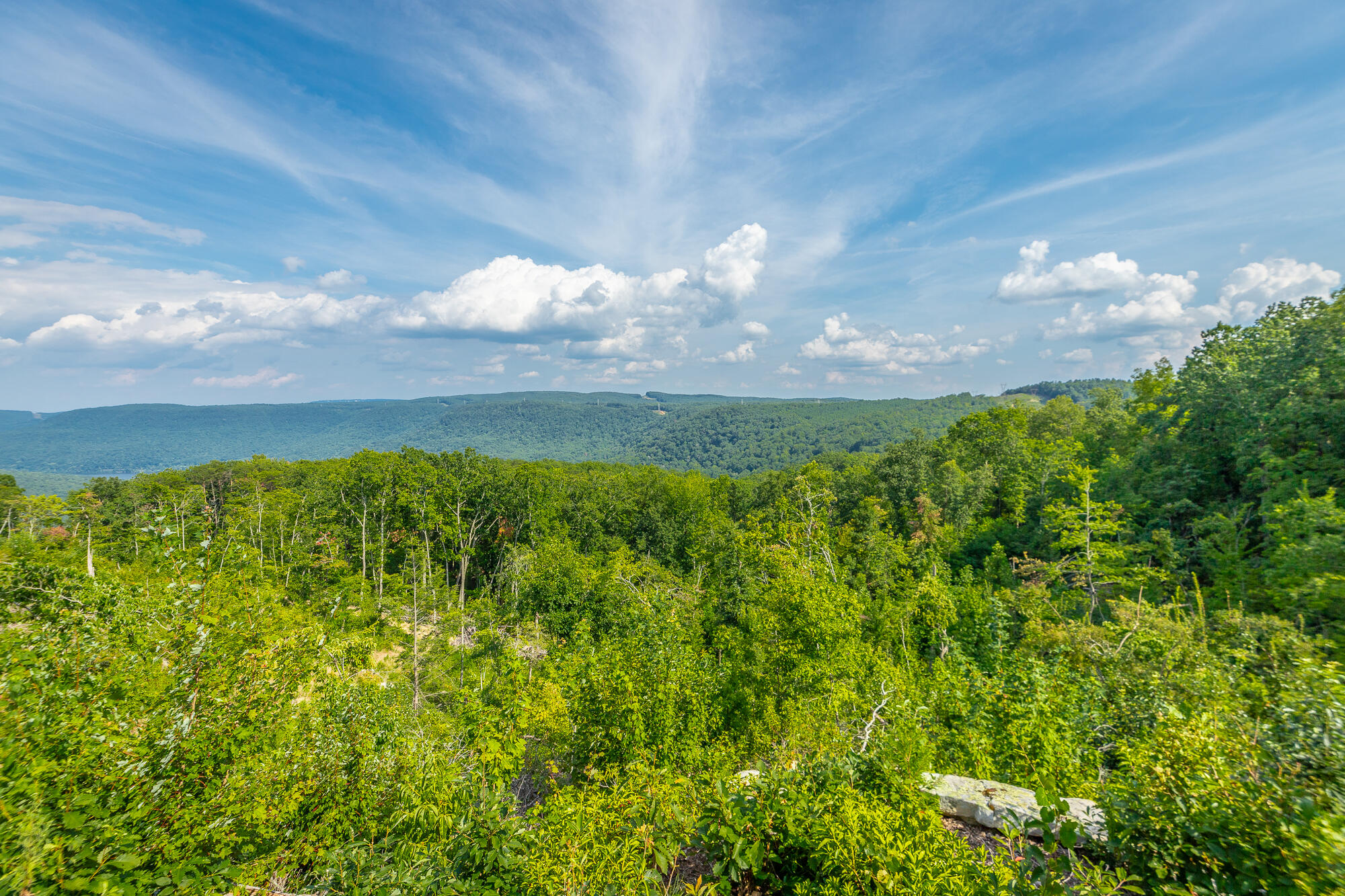 Catfish View #LOT 1300, Guild, Tennessee image 28