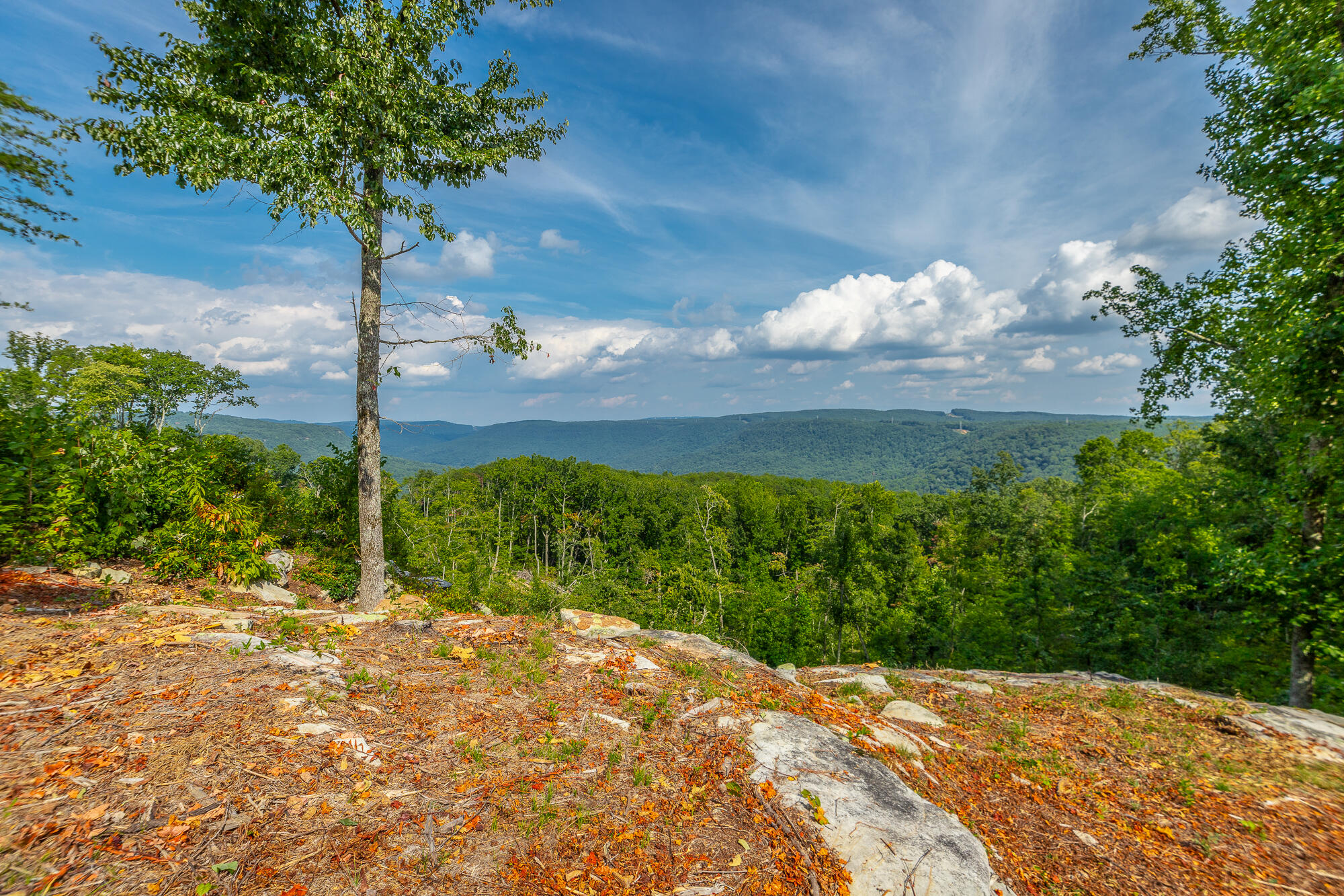 Catfish View #LOT 1300, Guild, Tennessee image 17