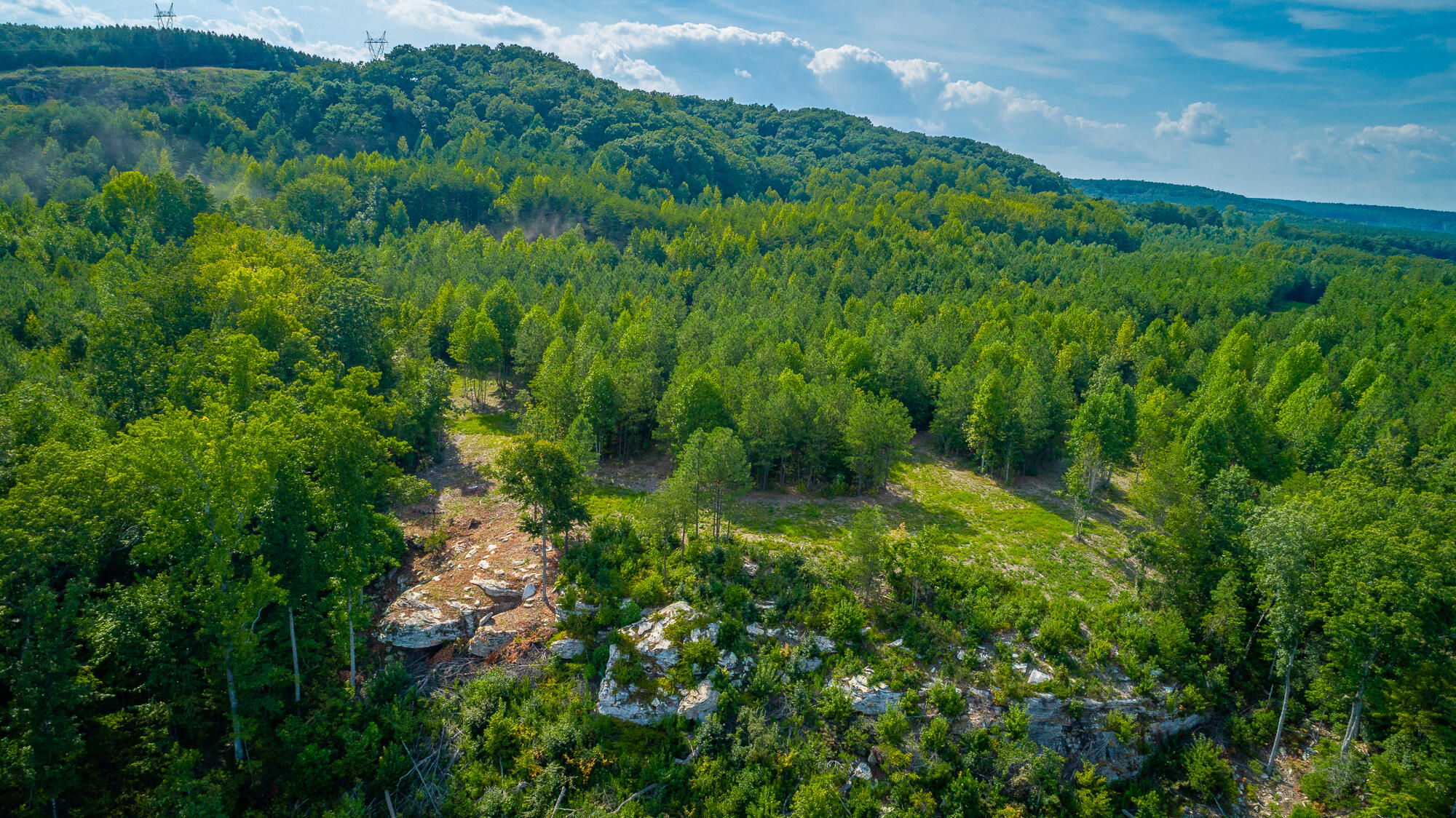 Catfish View #LOT 1300, Guild, Tennessee image 7