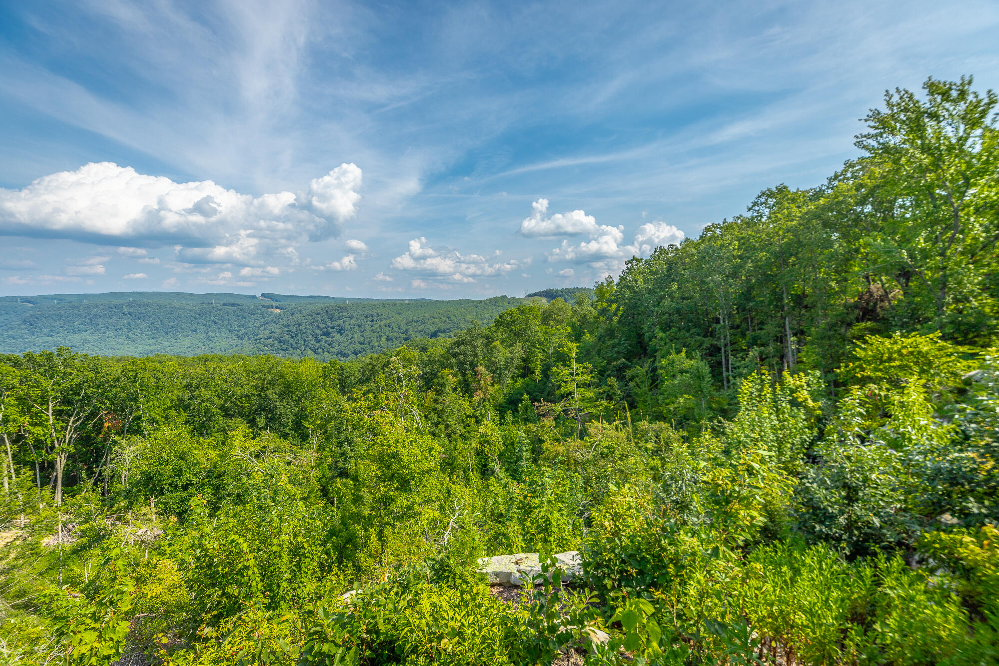 Catfish View #LOT 1300, Guild, Tennessee image 26