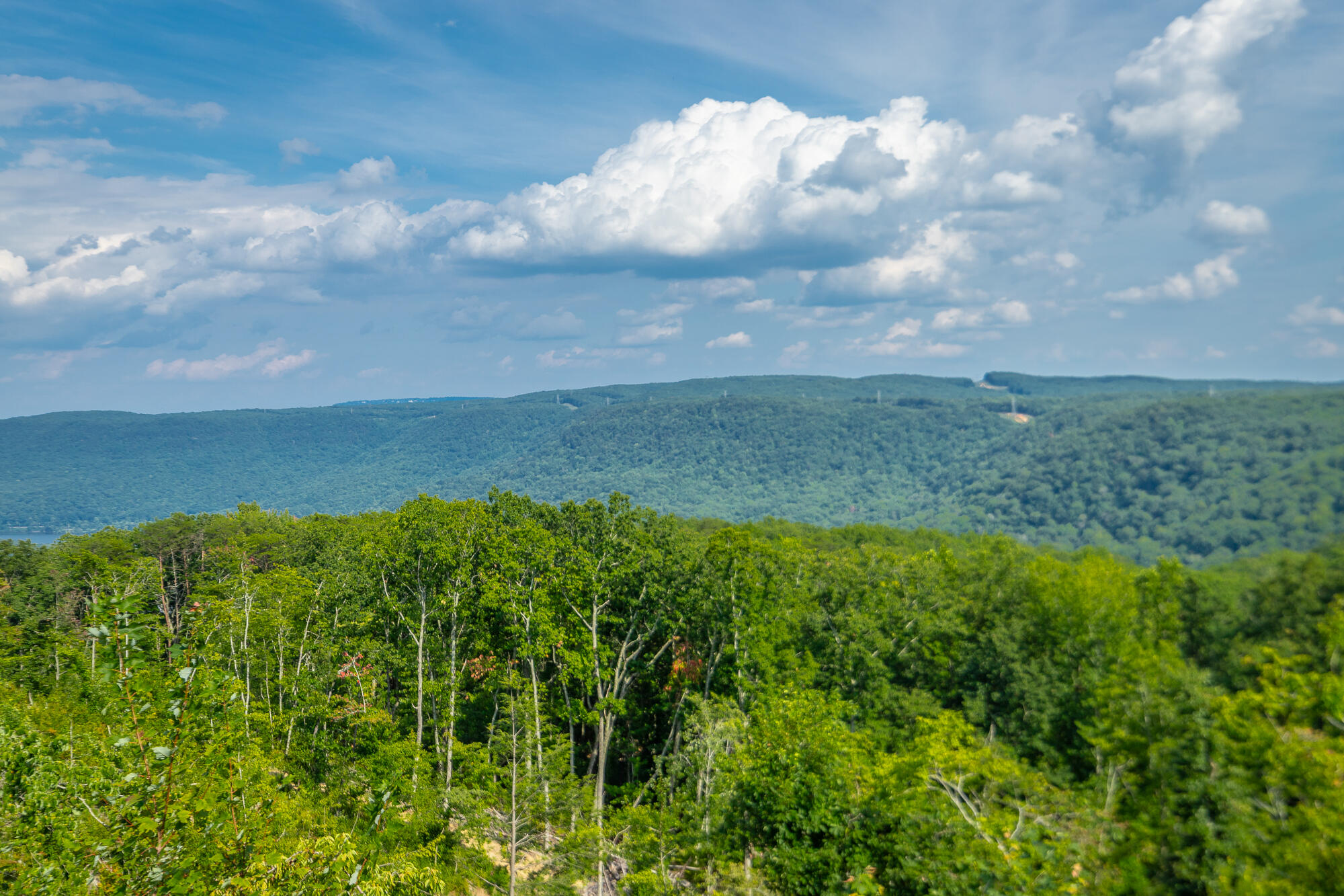 Catfish View #LOT 1300, Guild, Tennessee image 30