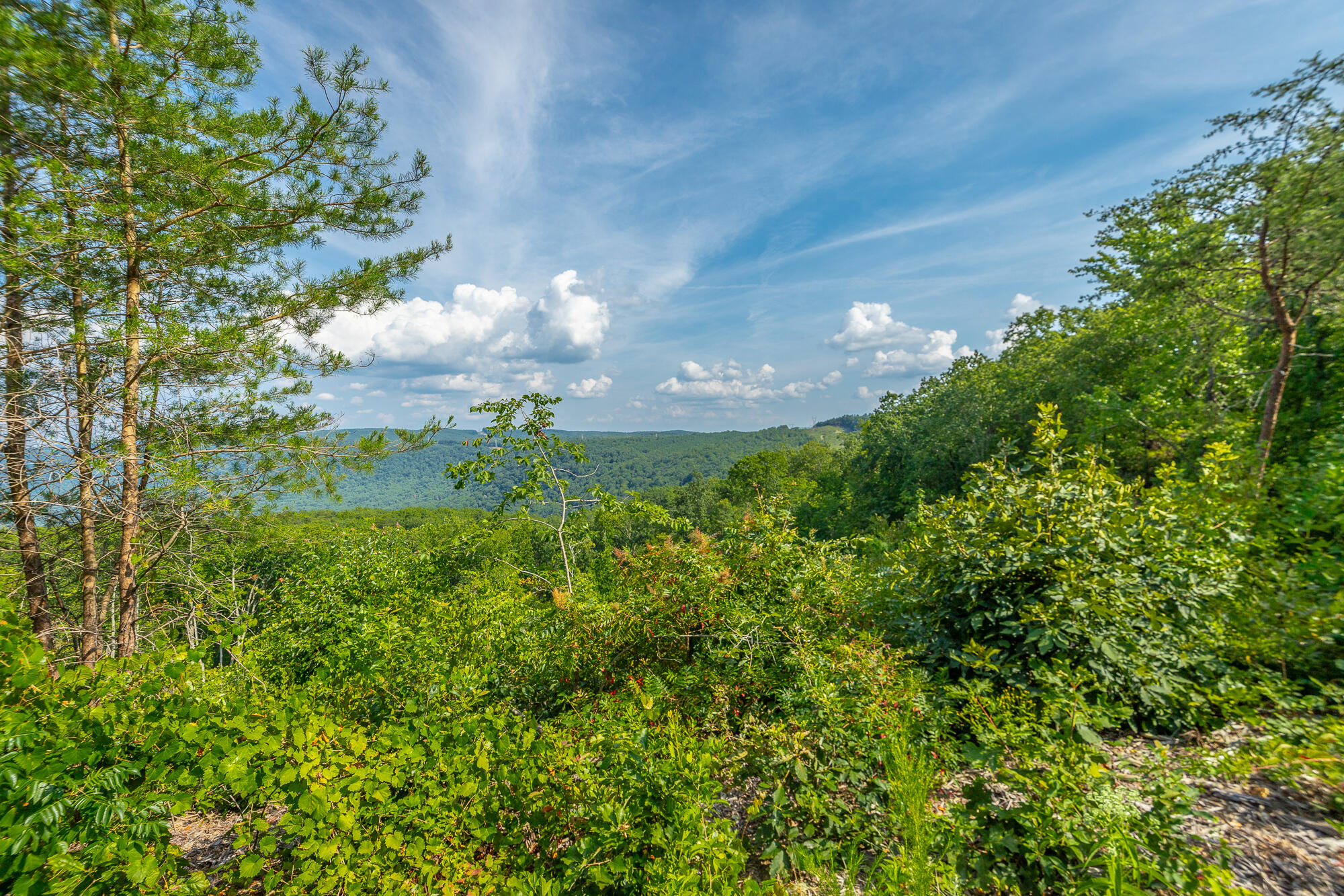 Catfish View #LOT 1300, Guild, Tennessee image 21