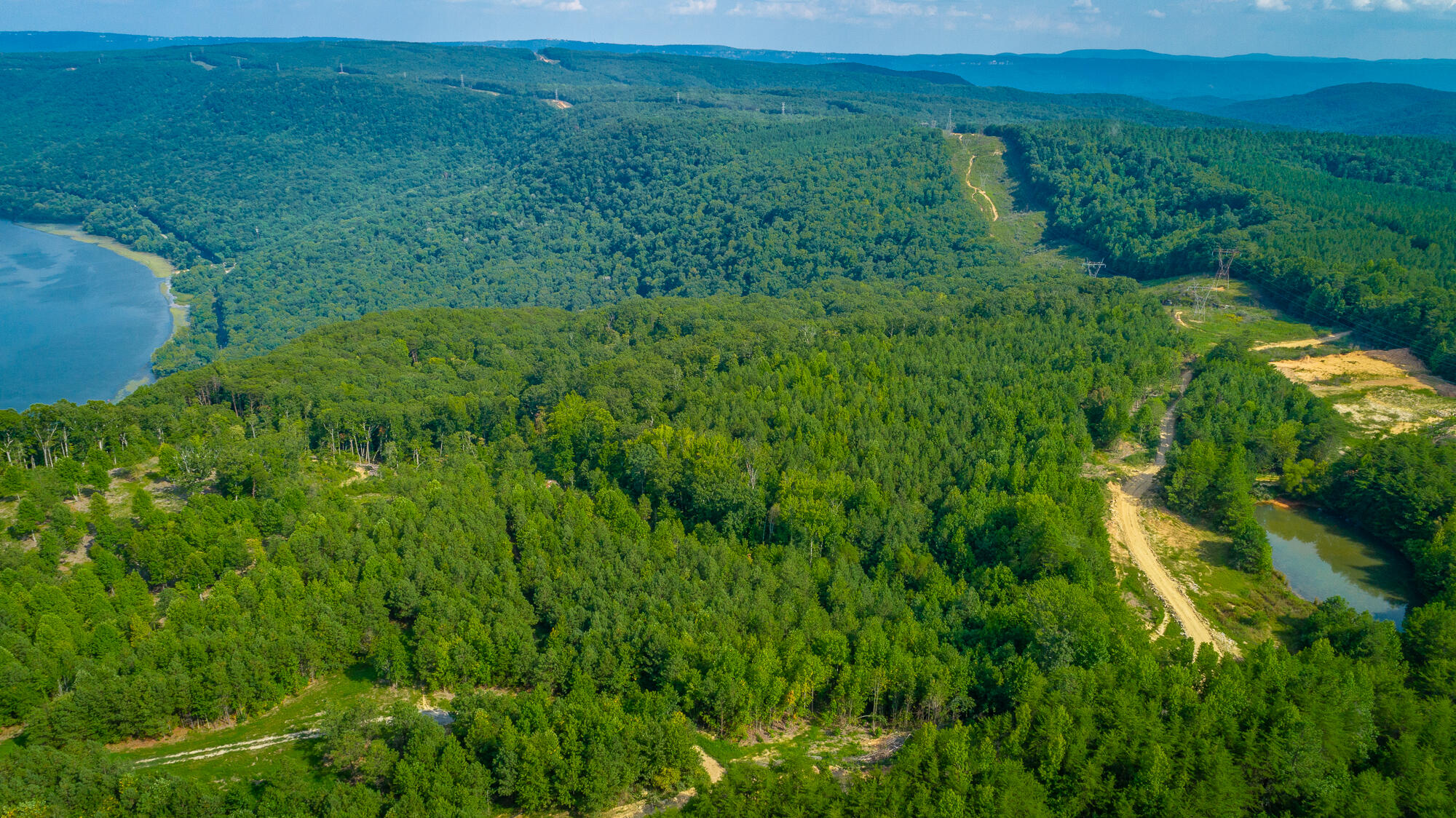 Catfish View #LOT 1300, Guild, Tennessee image 46