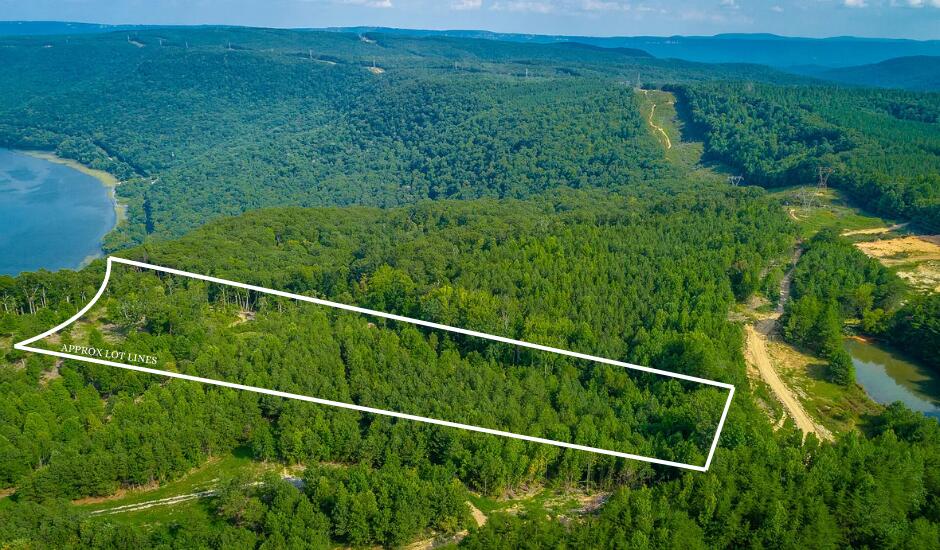 Catfish View #LOT 1300, Guild, Tennessee image 2