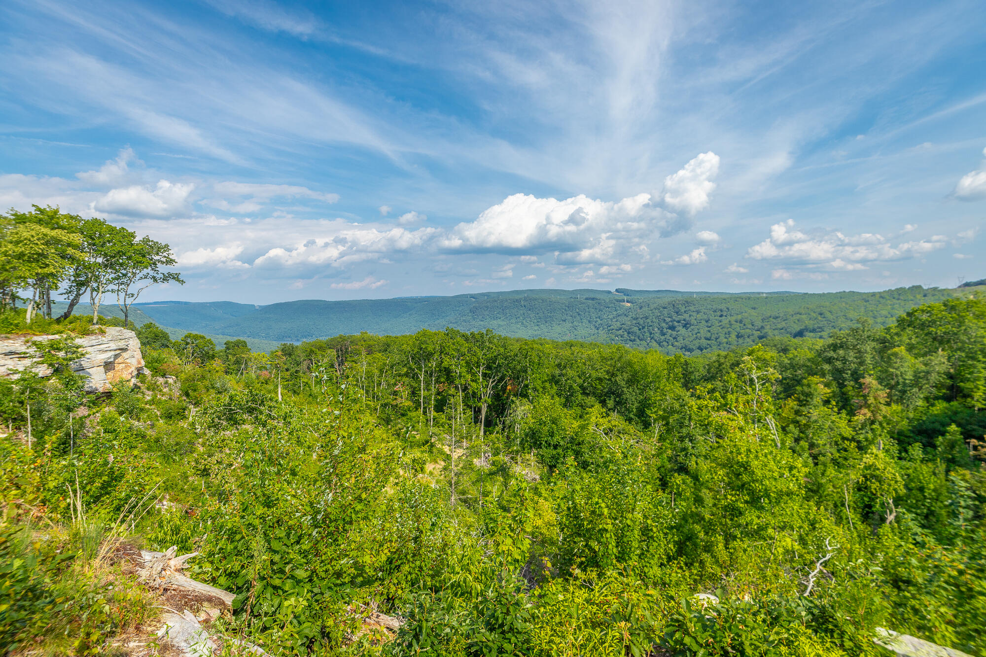 Catfish View #LOT 1300, Guild, Tennessee image 29