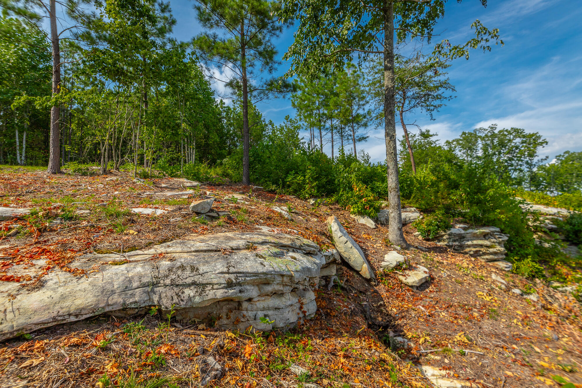 Catfish View #LOT 1300, Guild, Tennessee image 10