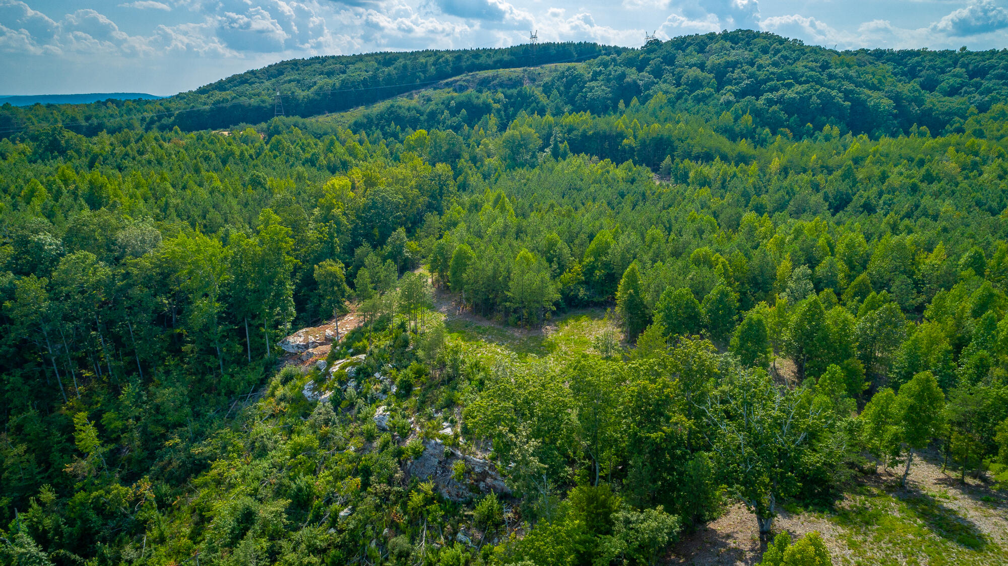 Catfish View #LOT 1300, Guild, Tennessee image 42