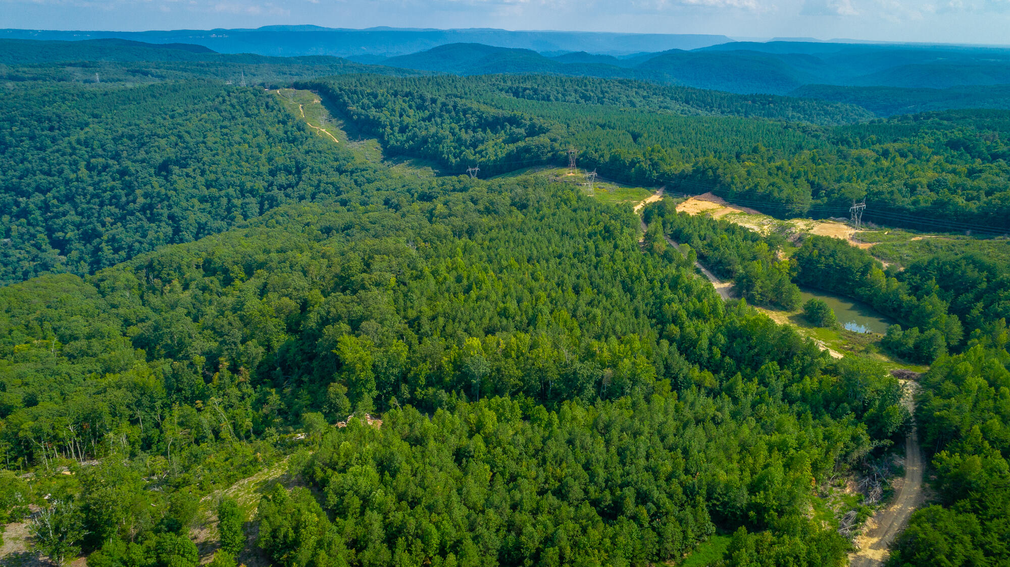 Catfish View #LOT 1300, Guild, Tennessee image 45