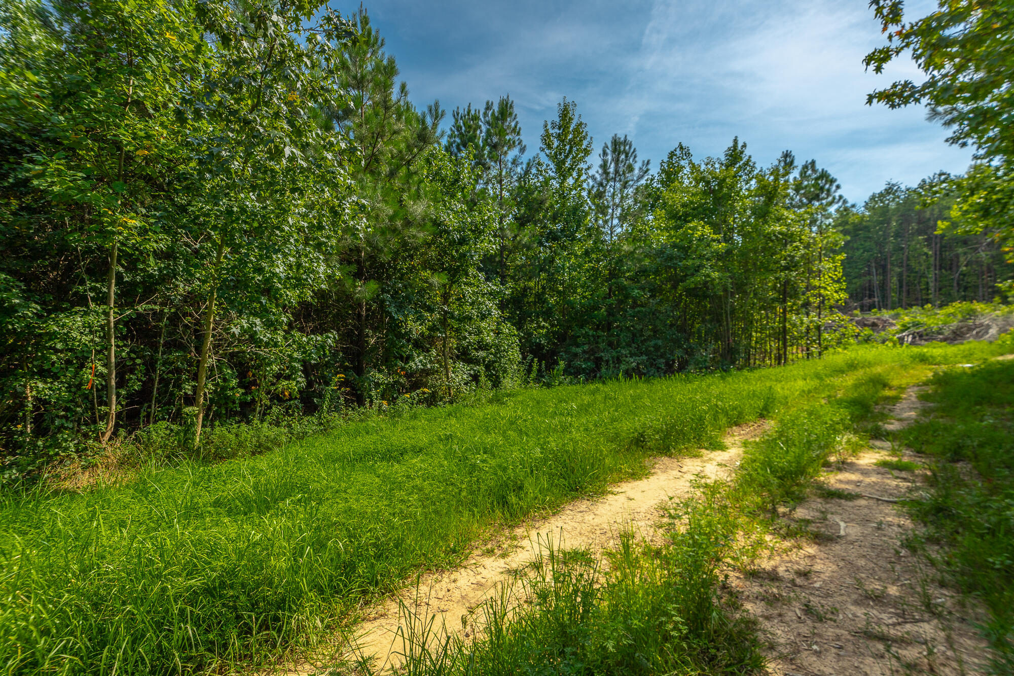Catfish View #LOT 1300, Guild, Tennessee image 13