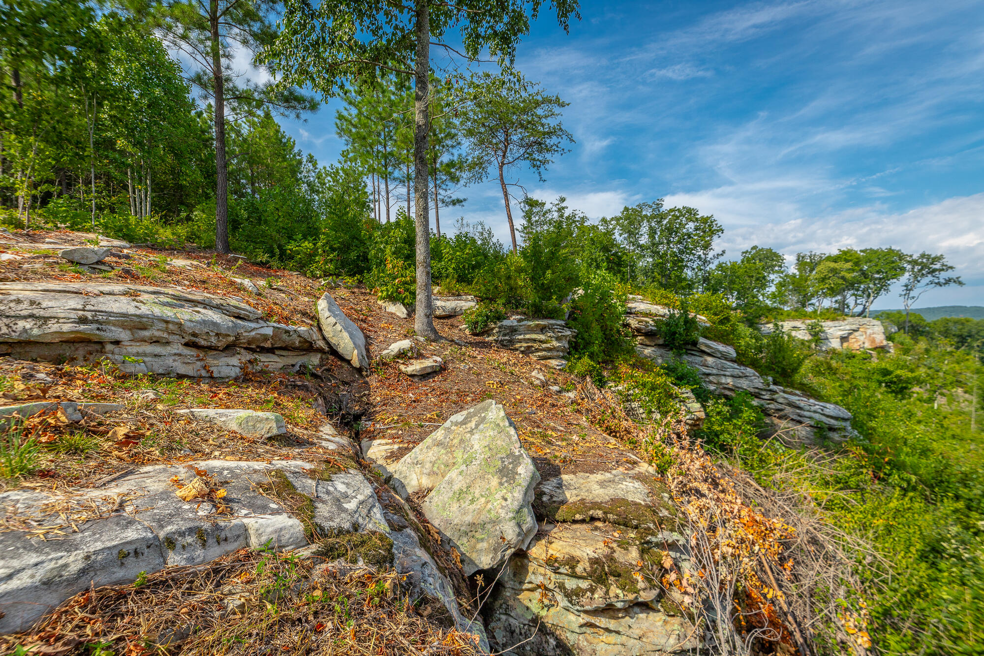 Catfish View #LOT 1300, Guild, Tennessee image 3