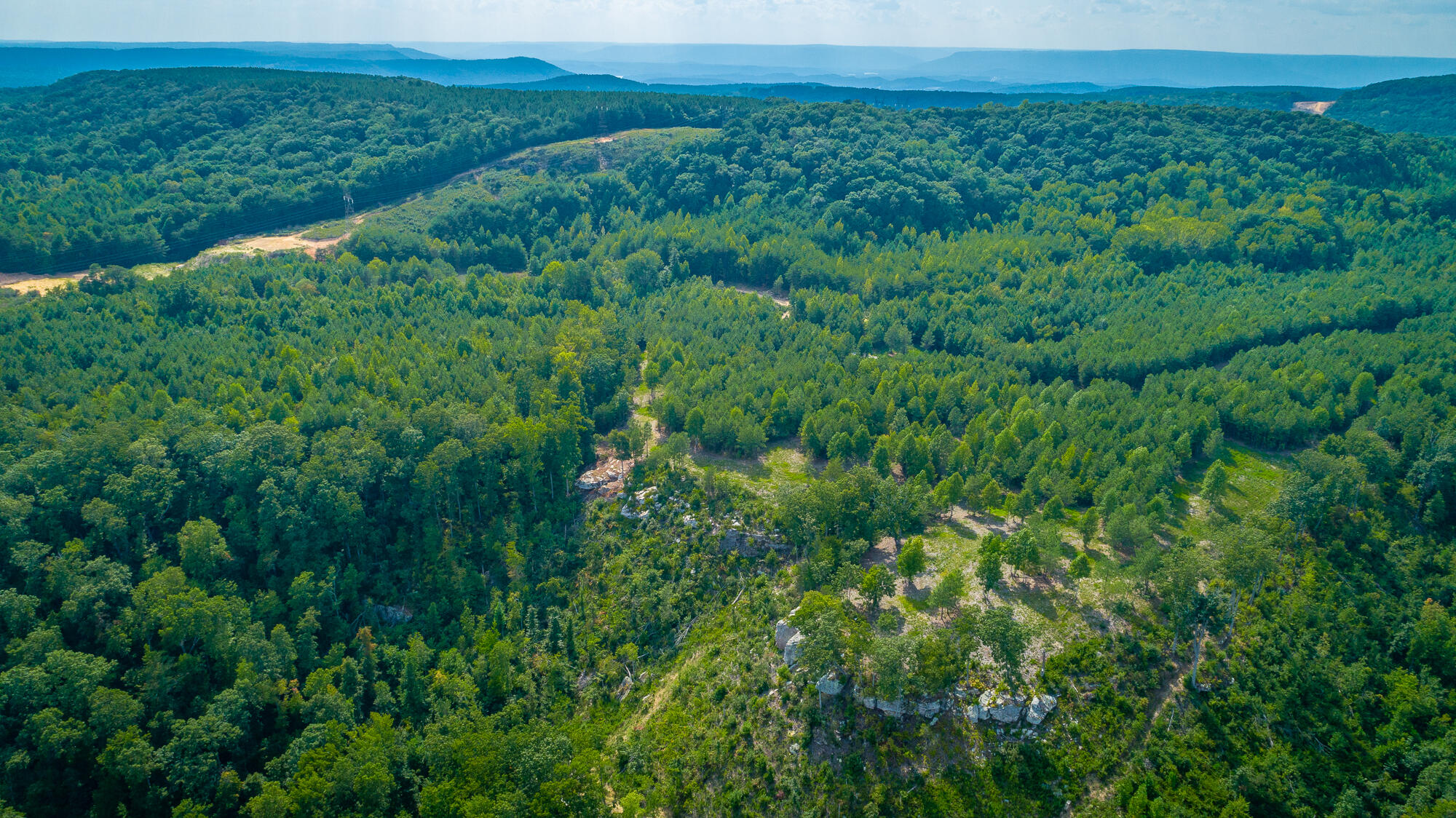 Catfish View #LOT 1300, Guild, Tennessee image 43