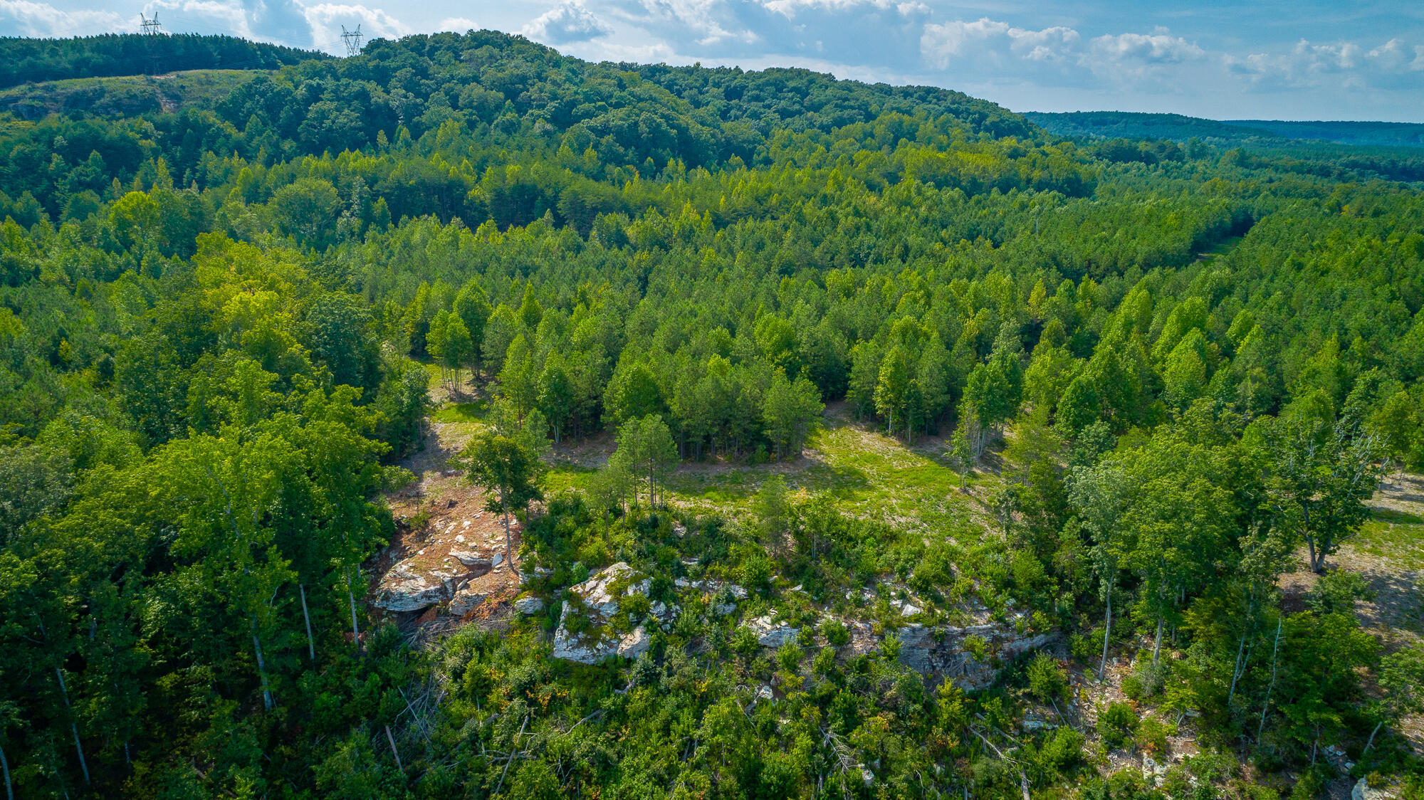 Catfish View #LOT 1300, Guild, Tennessee image 41