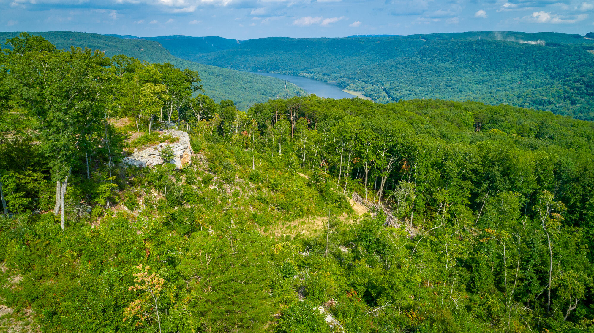 Catfish View #LOT 1300, Guild, Tennessee image 35