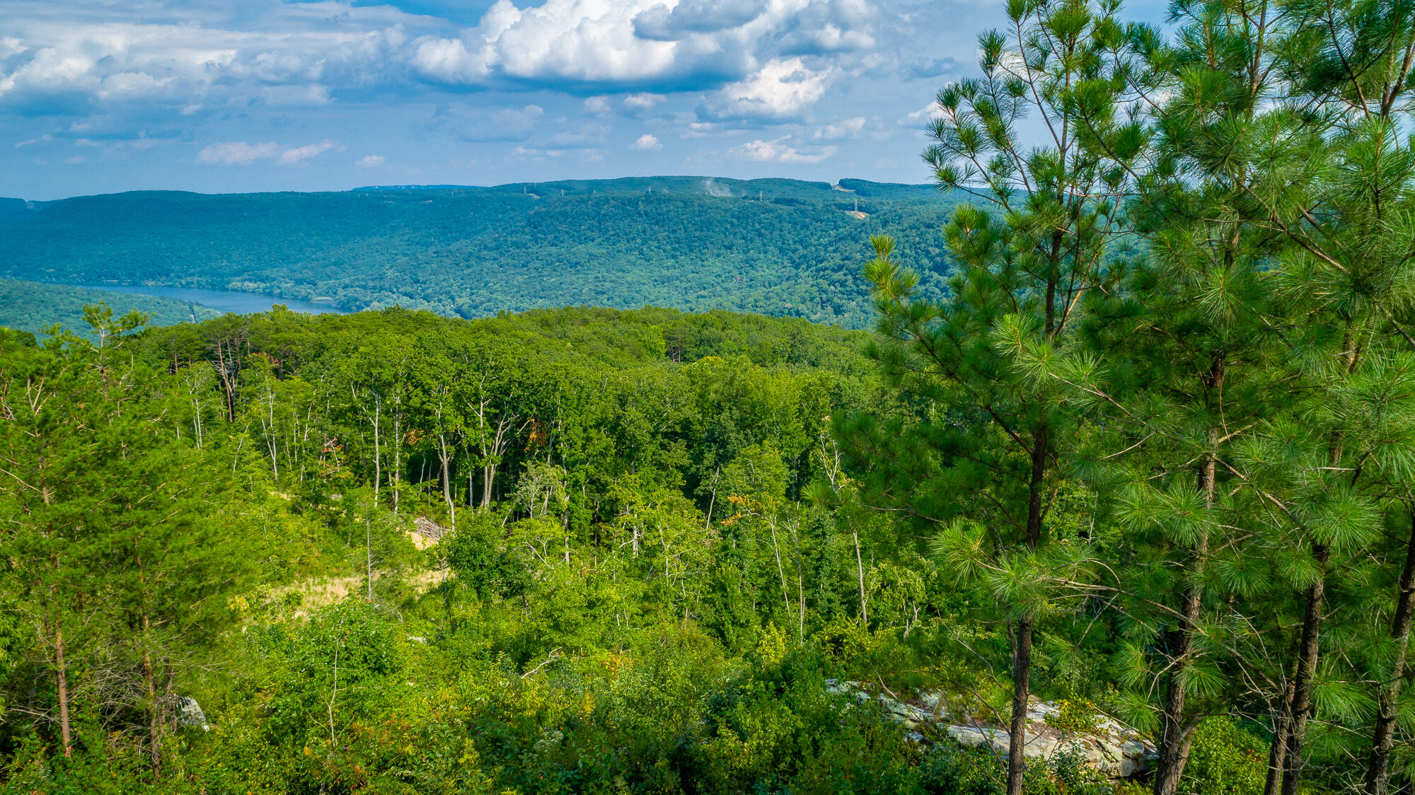 Catfish View #LOT 1300, Guild, Tennessee image 32