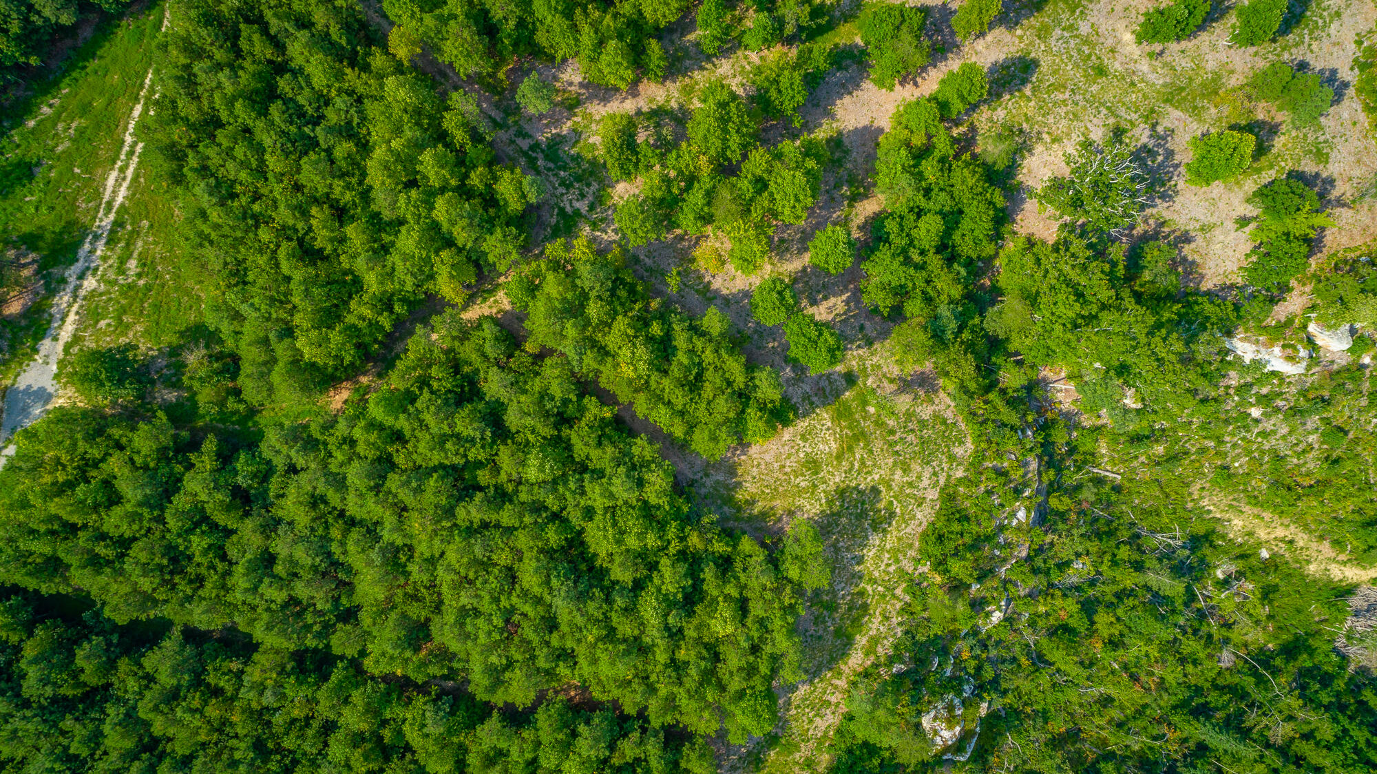 Catfish View #LOT 1300, Guild, Tennessee image 49