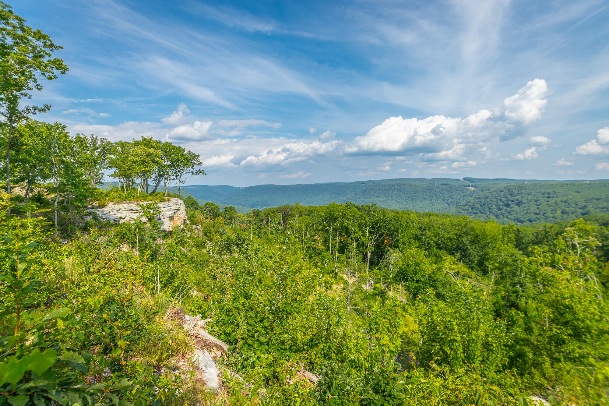 Catfish View #LOT 1300, Guild, Tennessee image 27