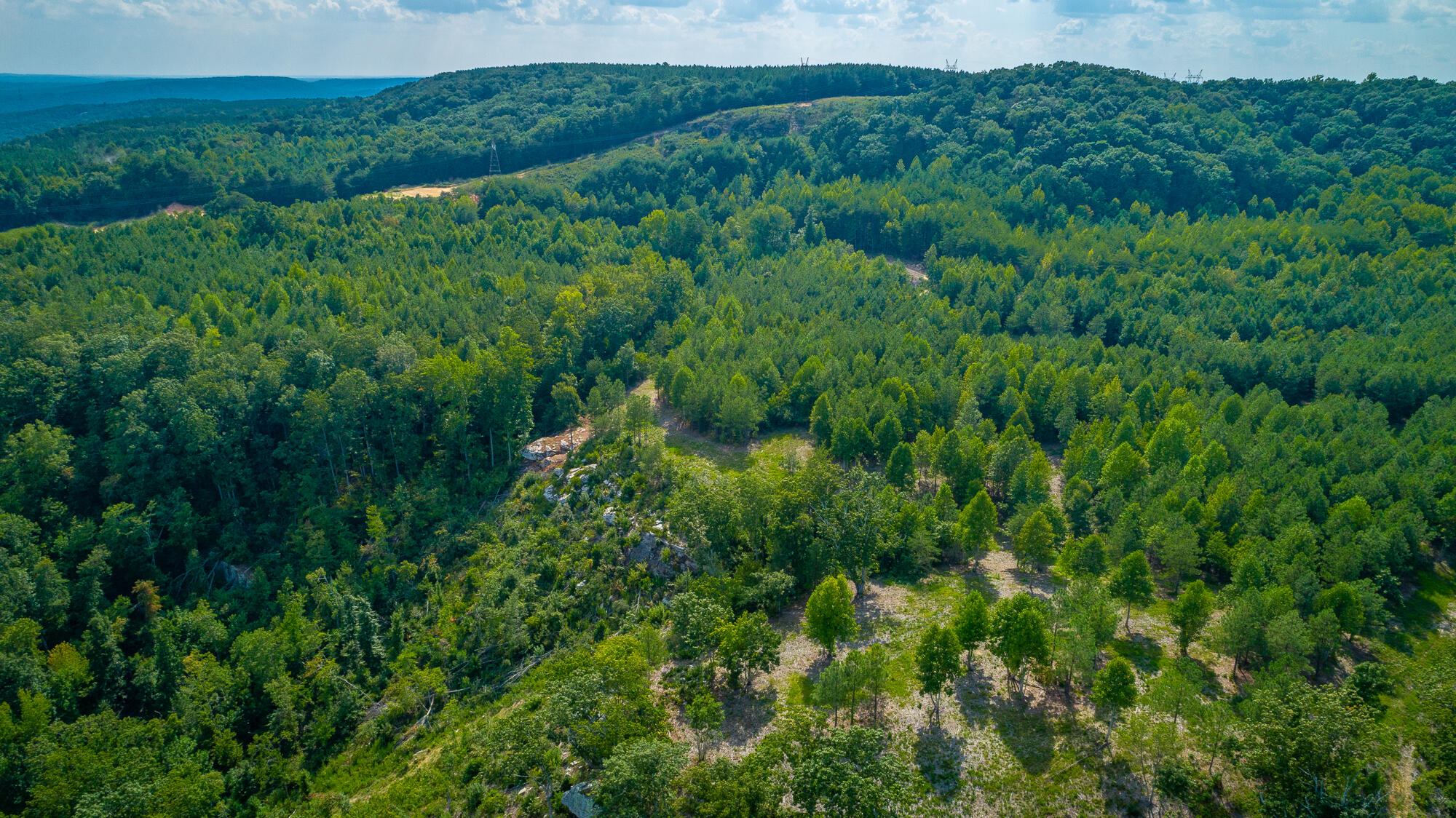 Catfish View #LOT 1300, Guild, Tennessee image 40