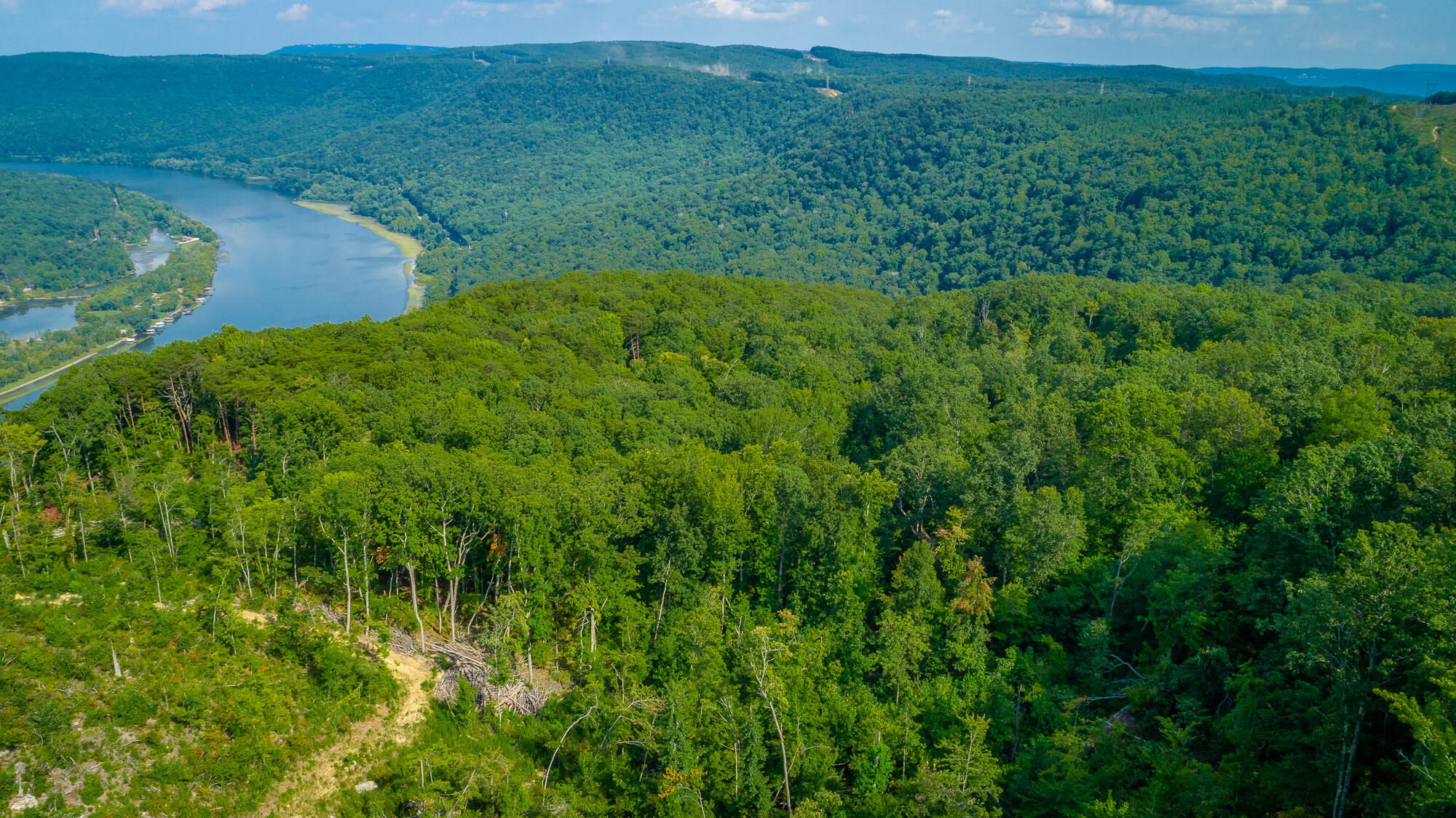Catfish View #LOT 1300, Guild, Tennessee image 38