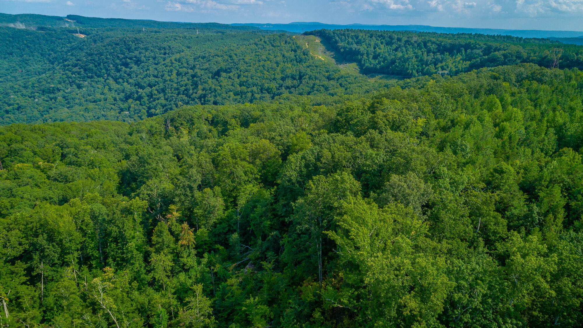 Catfish View #LOT 1300, Guild, Tennessee image 39