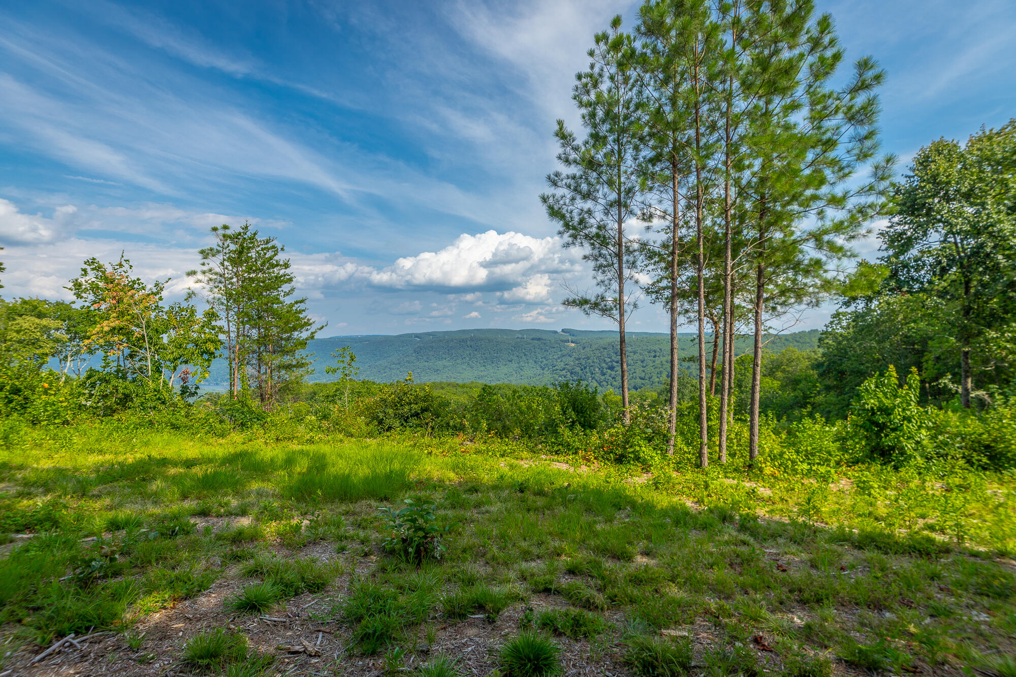Catfish View #LOT 1300, Guild, Tennessee image 9