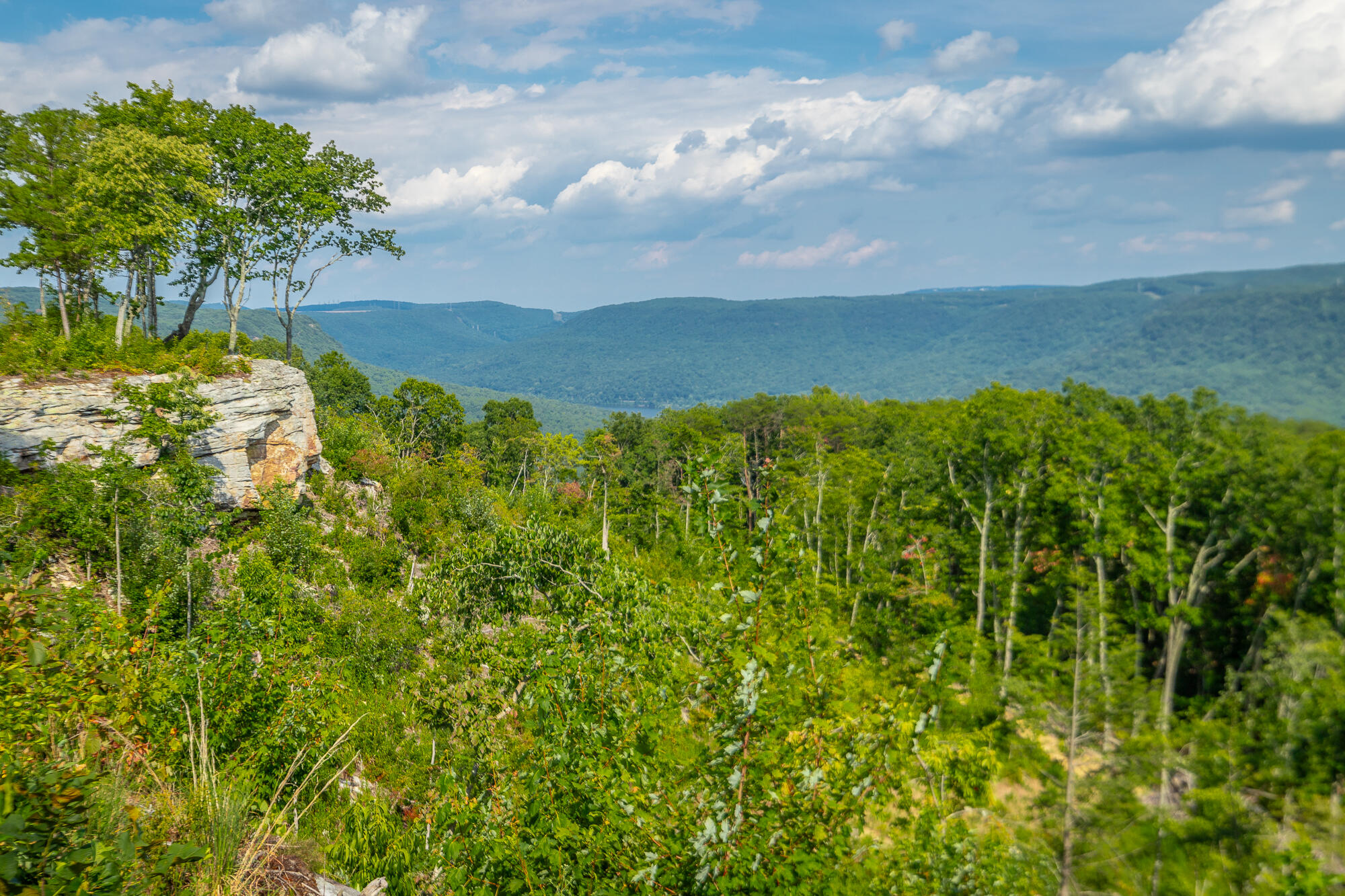 Catfish View #LOT 1300, Guild, Tennessee image 25
