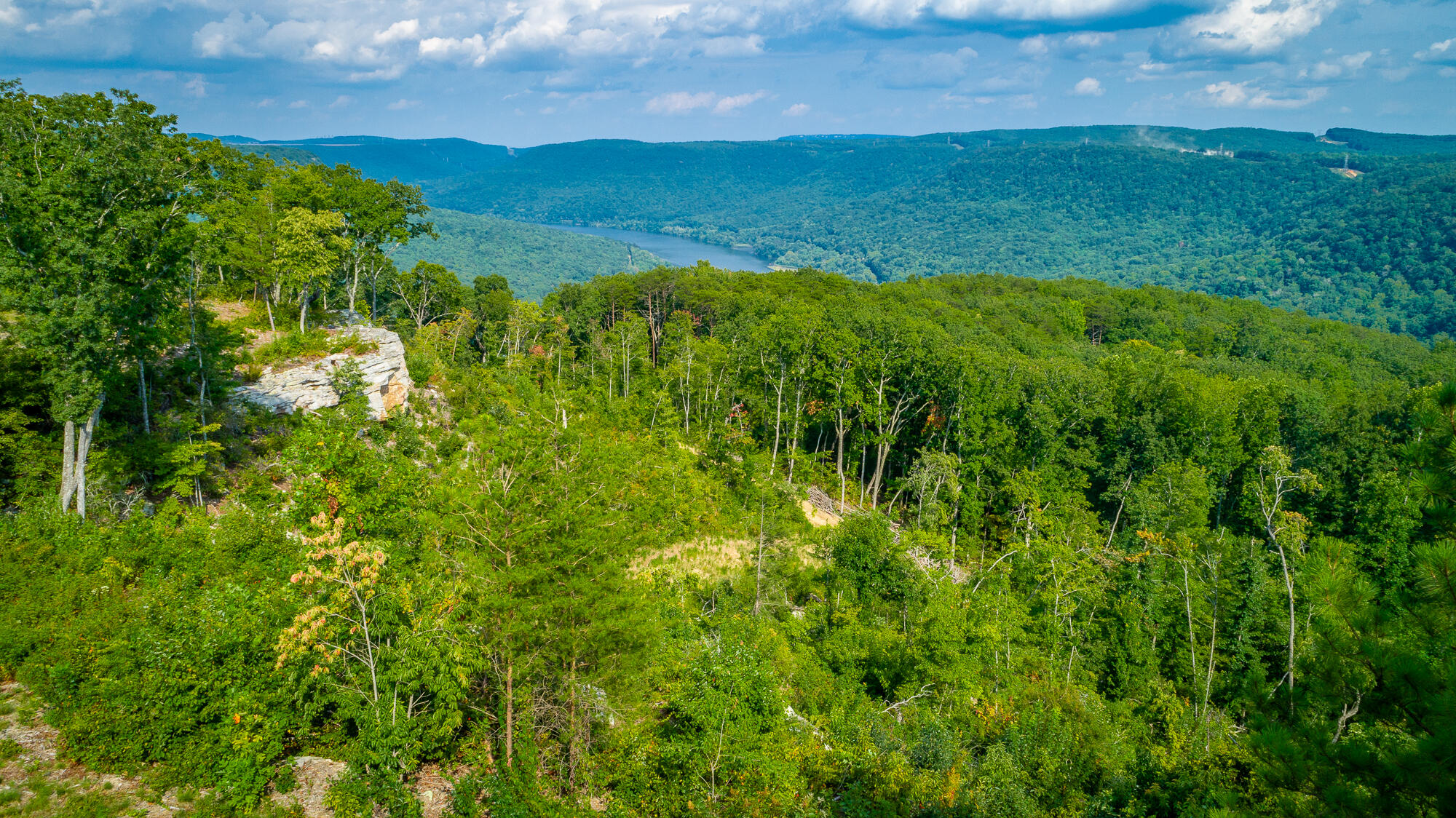 Catfish View #LOT 1300, Guild, Tennessee image 33