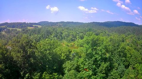 Vacant Land For Sale - Mill Drive<br/> Meigs County, Decatur, TN 37322