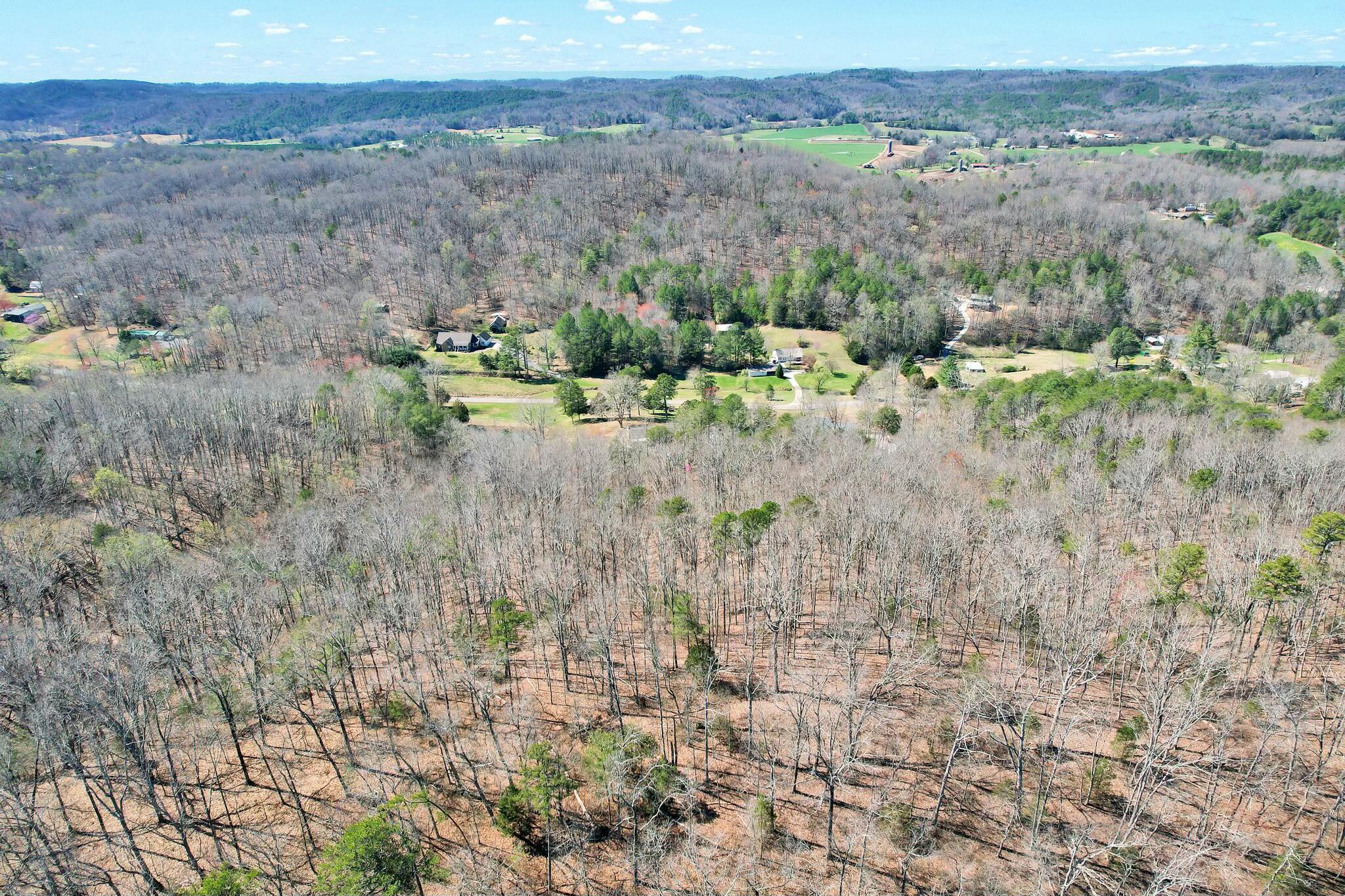 1124 White Oak Road, Cleveland, Tennessee image 33