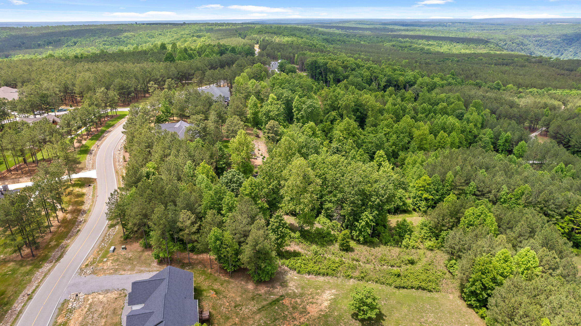 320 Lookout View Drive, Jasper, Tennessee image 28
