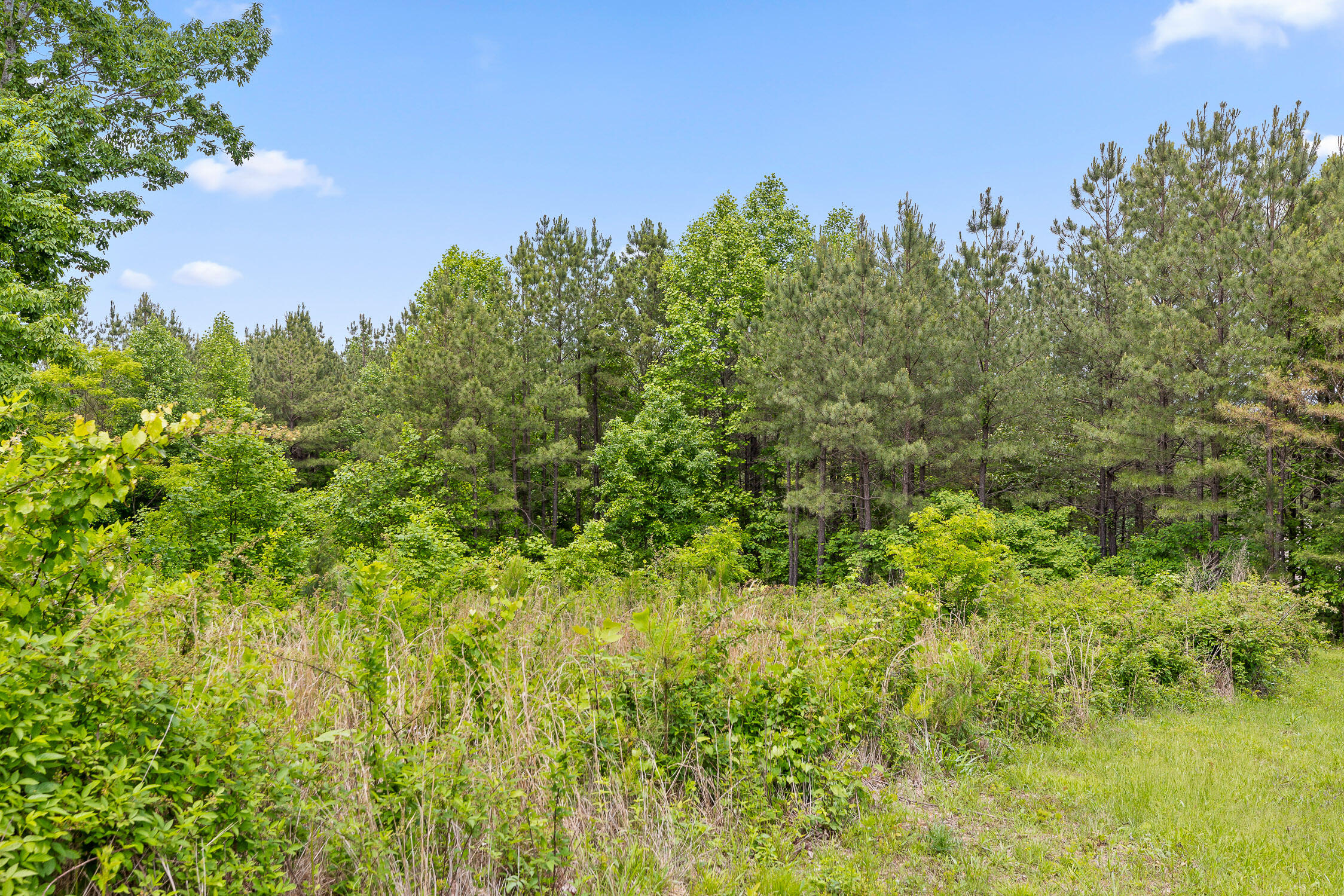 320 Lookout View Drive, Jasper, Tennessee image 10