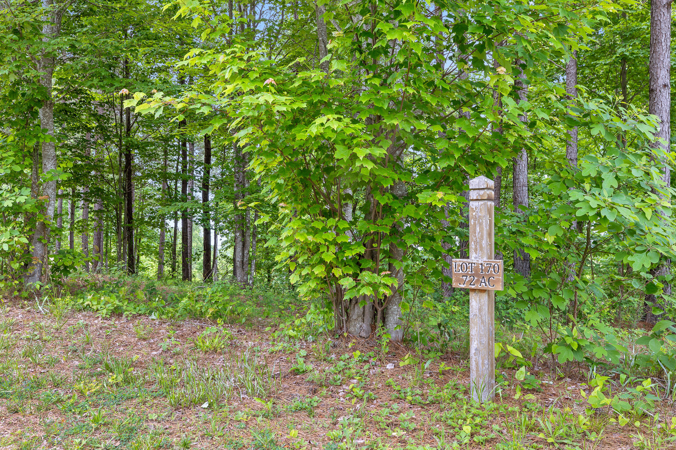 320 Lookout View Drive, Jasper, Tennessee image 13