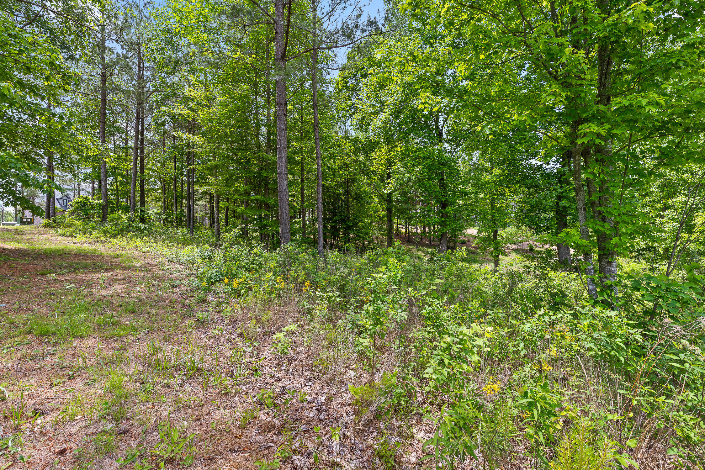 320 Lookout View Drive, Jasper, Tennessee image 14