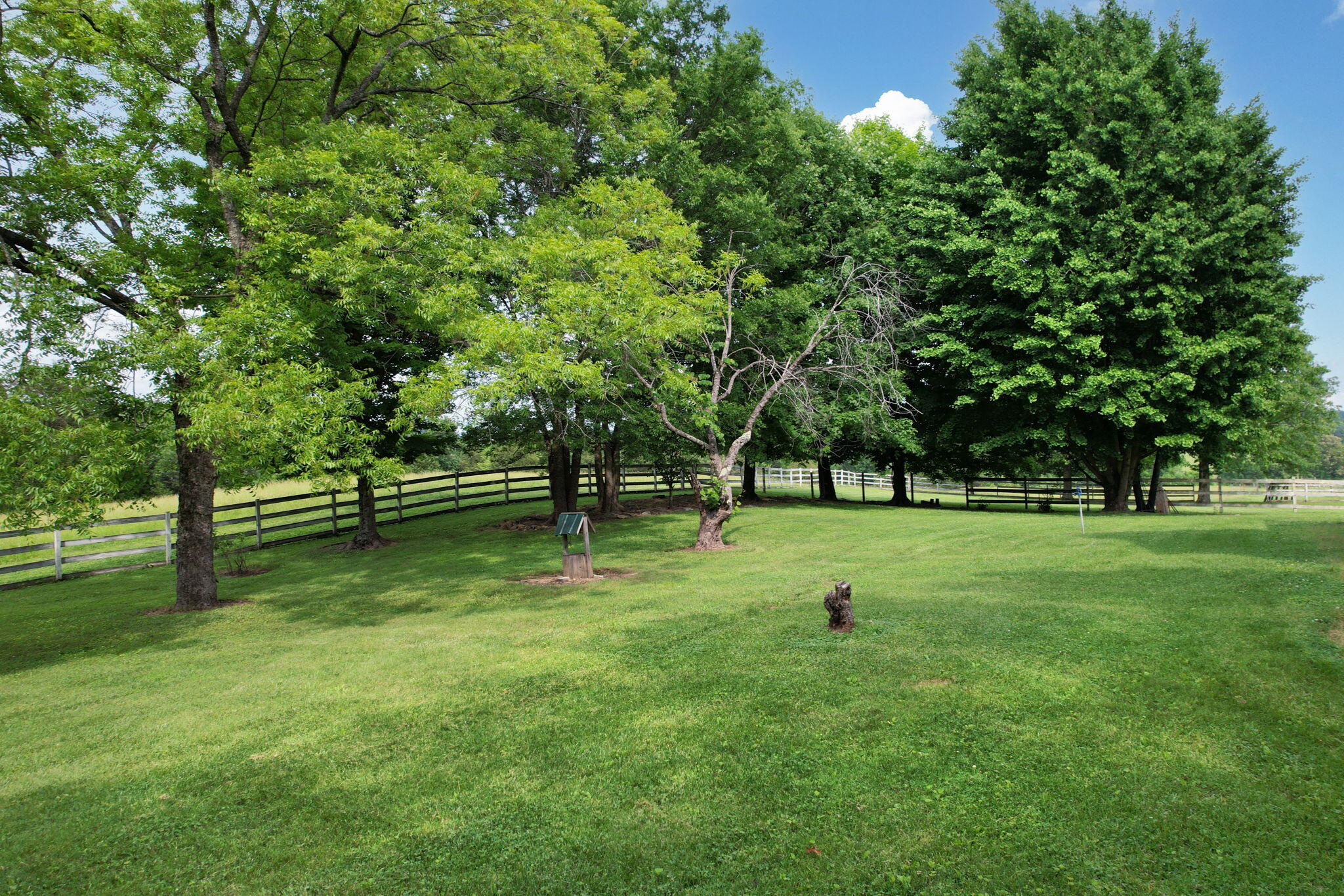 4957 Decatur Highway Highway, Ten Mile, Tennessee image 37
