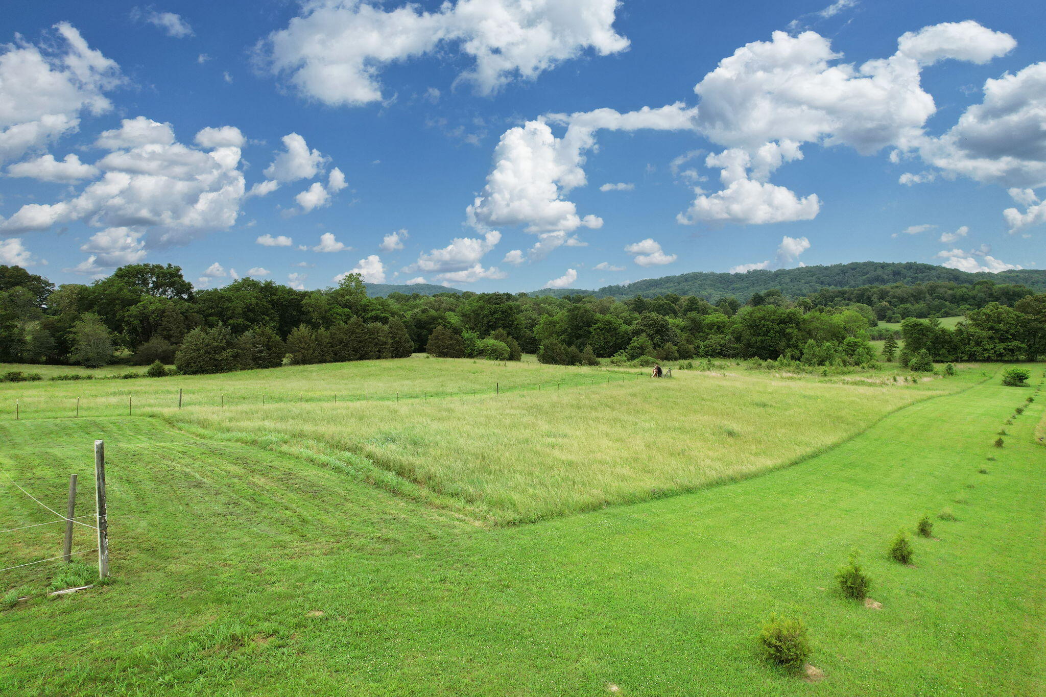 4957 Decatur Highway Highway, Ten Mile, Tennessee image 40