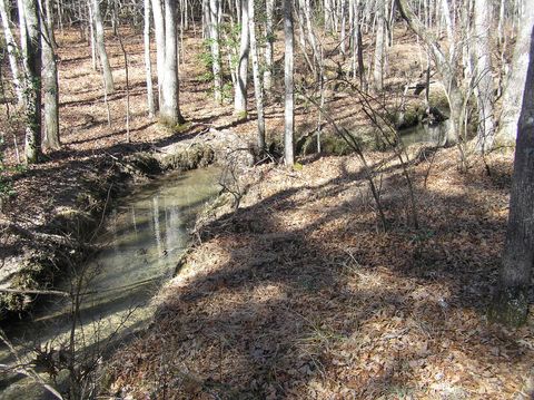 Tiny photo for 975 Dell Lane, Spencer, TN 38585 (MLS # 1528154)