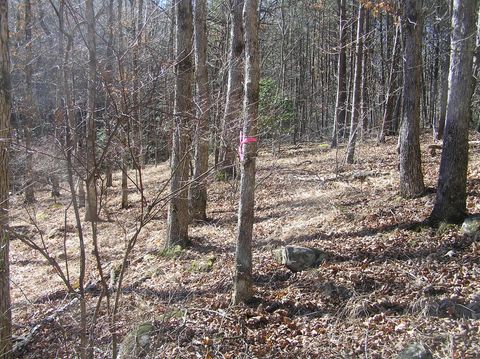Tiny photo for 975 Dell Lane, Spencer, TN 38585 (MLS # 1528154)