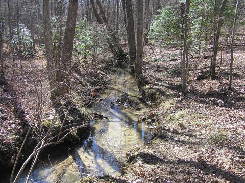 Tiny photo for 975 Dell Lane, Spencer, TN 38585 (MLS # 1528154)