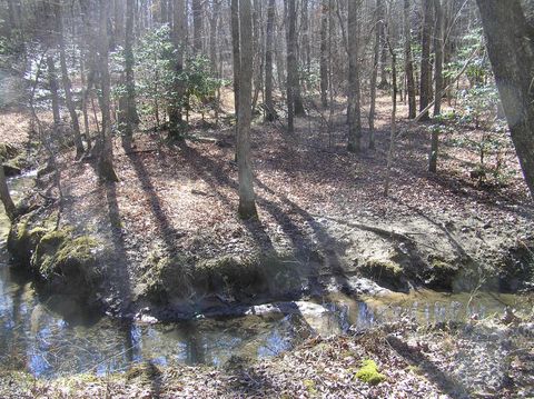 Tiny photo for 975 Dell Lane, Spencer, TN 38585 (MLS # 1528154)