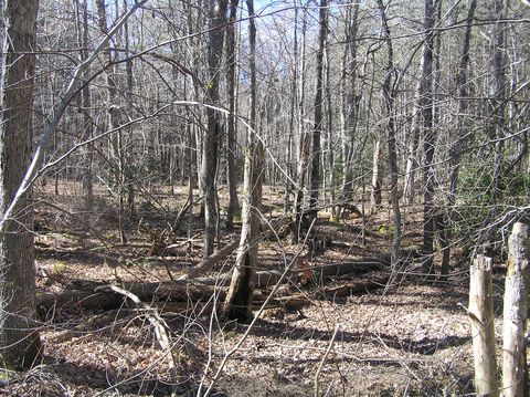 Tiny photo for 975 Dell Lane, Spencer, TN 38585 (MLS # 1528154)