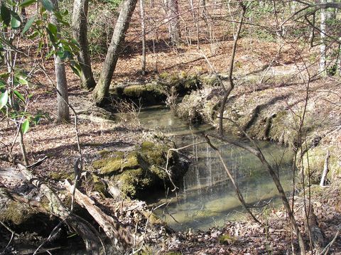 Tiny photo for 975 Dell Lane, Spencer, TN 38585 (MLS # 1528154)