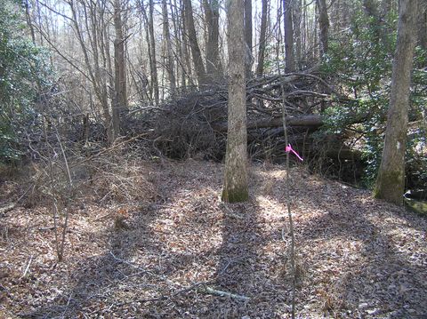 Tiny photo for 975 Dell Lane, Spencer, TN 38585 (MLS # 1528154)