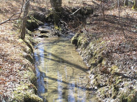 Tiny photo for 975 Dell Lane, Spencer, TN 38585 (MLS # 1528154)