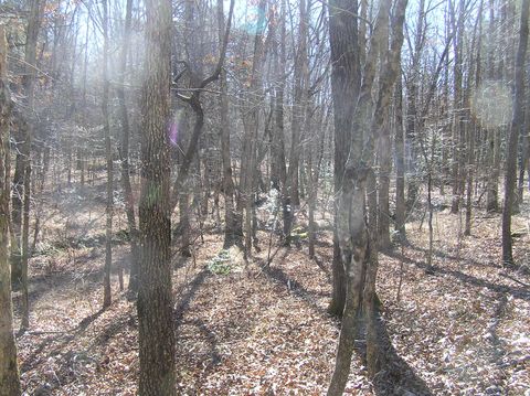 Tiny photo for 975 Dell Lane, Spencer, TN 38585 (MLS # 1528154)