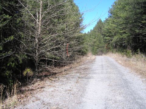 Tiny photo for 975 Dell Lane, Spencer, TN 38585 (MLS # 1528154)