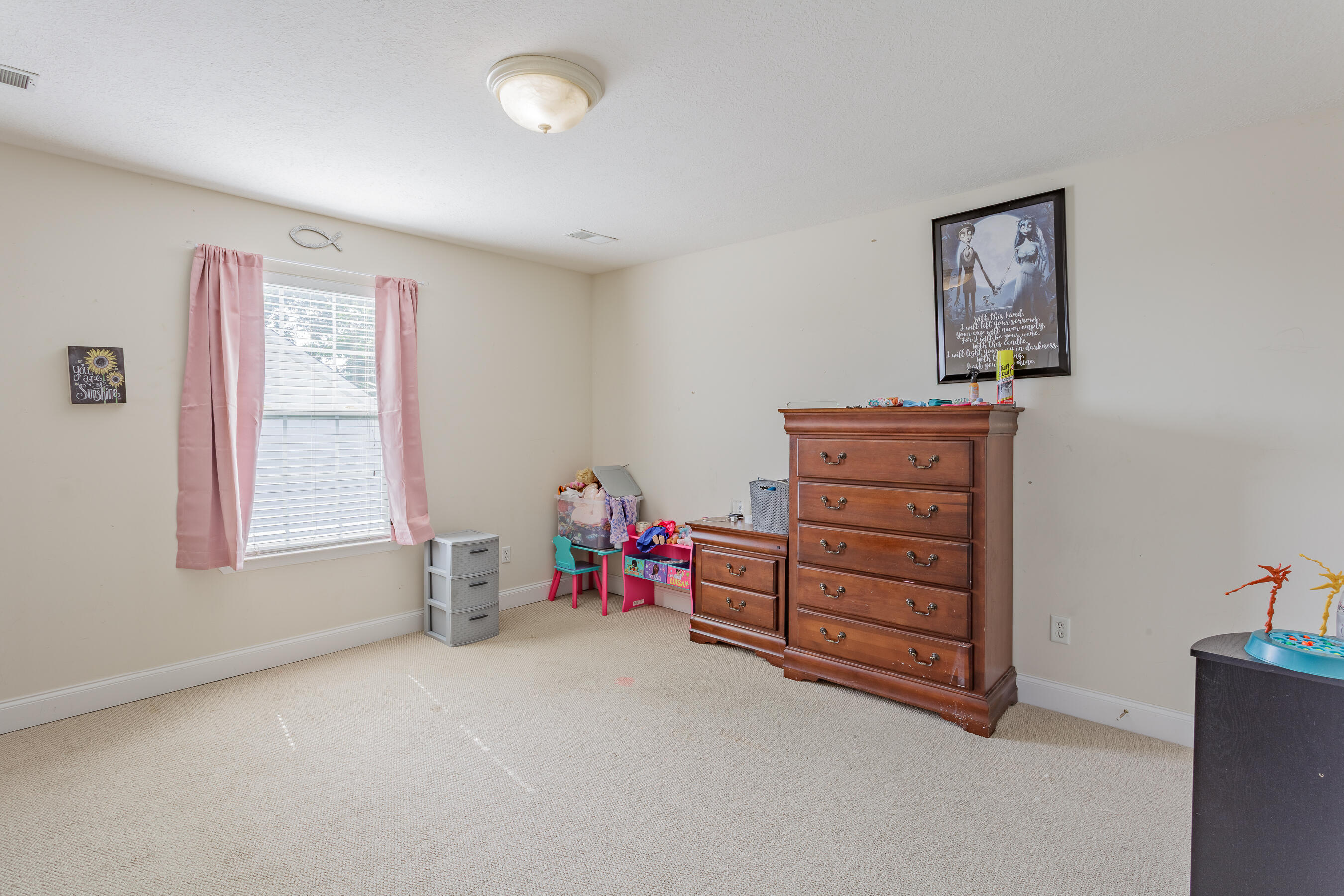 1052 Trojan Run Drive, Soddy Daisy, Tennessee image 19