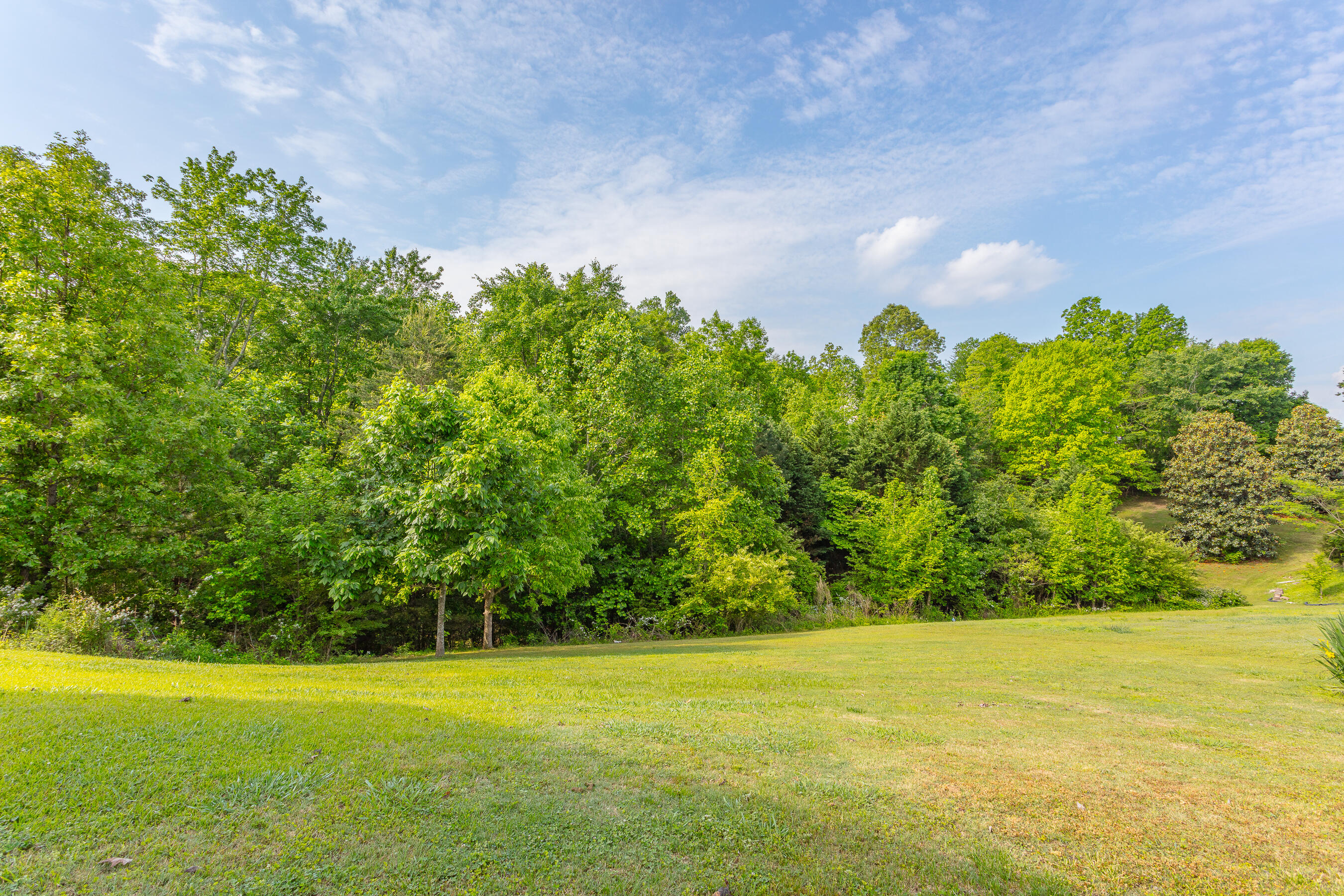 1052 Trojan Run Drive, Soddy Daisy, Tennessee image 8