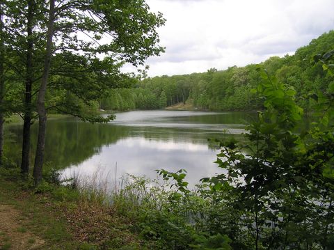 Vacant Land For Sale - 100 Valley View Drive<br/> Altamont, TN 37301